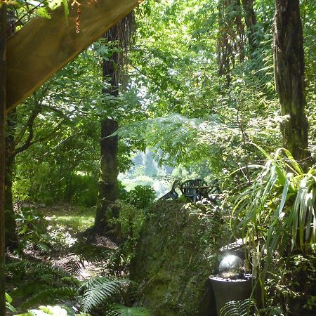 Mount Tutu Eco-Sanctuary Bed and Breakfast Ohauiti Exteriör bild