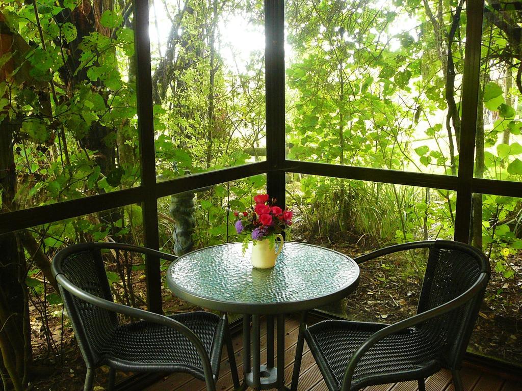 Mount Tutu Eco-Sanctuary Bed and Breakfast Ohauiti Rum bild