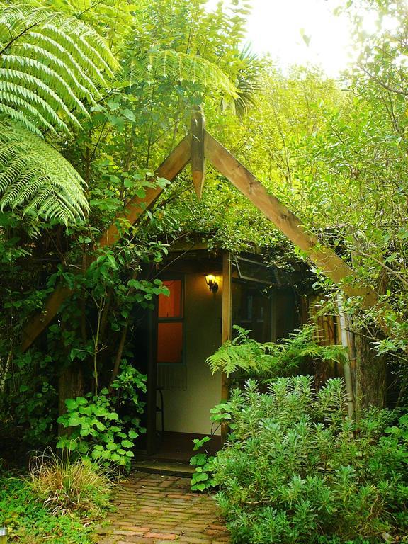 Mount Tutu Eco-Sanctuary Bed and Breakfast Ohauiti Rum bild