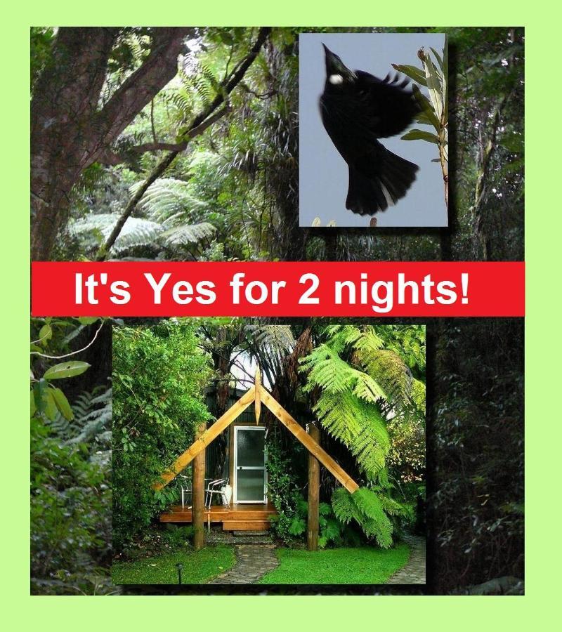 Mount Tutu Eco-Sanctuary Bed and Breakfast Ohauiti Exteriör bild